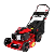 NOVINKY
