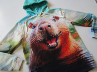 Chlapecká mikina- PARIS... VEL-S