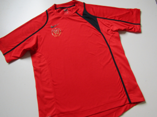 Pánské sportovní tričko- NIKE... VEL-M