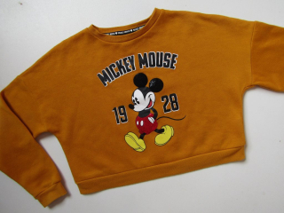 Dívčí mikina- DISNEY... VEL-140-146